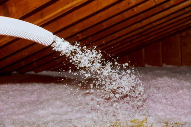 Best Insulation Contractor Near Me  in Summerside, OH