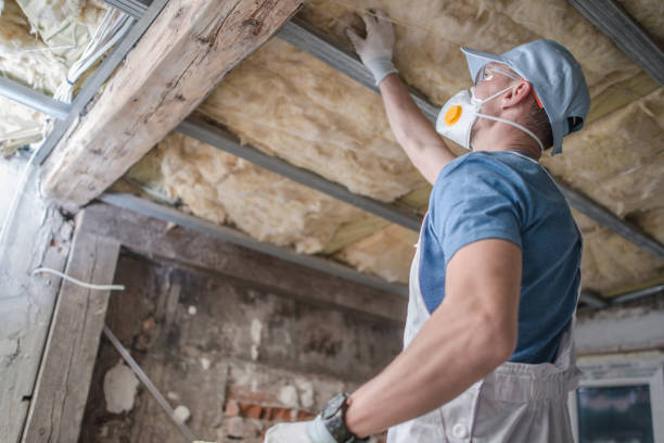 Best Insulation Inspection Services  in Summerside, OH