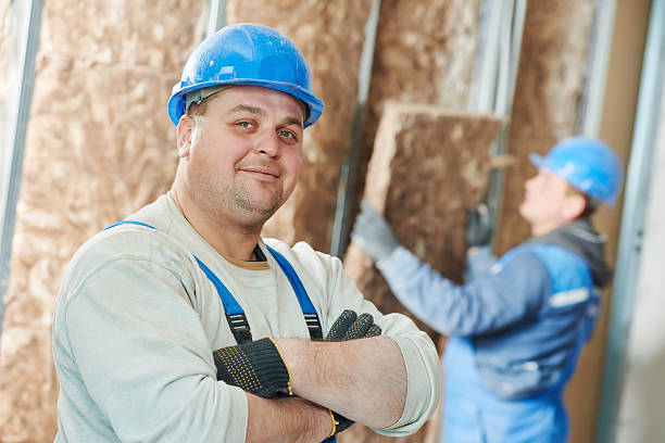 Best Insulation Replacement Services  in Summerside, OH