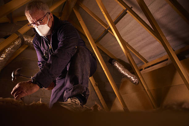 Best Insulation Repair Services  in Summerside, OH