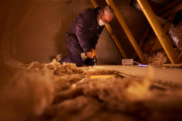 Best Wall Insulation Contractor  in Summerside, OH