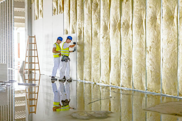 Garage Insulation Installation in Summerside, OH